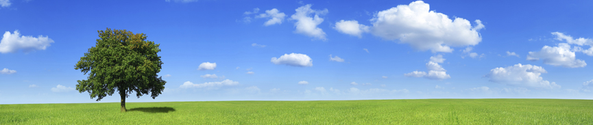 Random header image... Refresh for more!